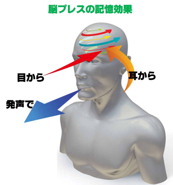 4．脳プレスの3知覚記憶効果