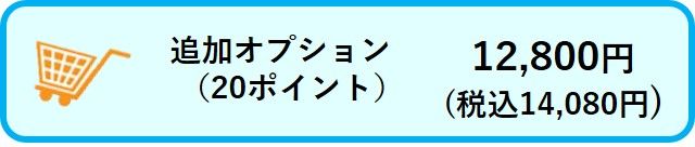 追加オプション