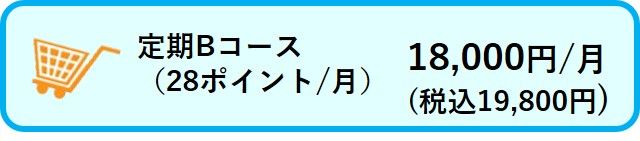 定期Bコース