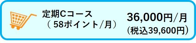 定期Cコース